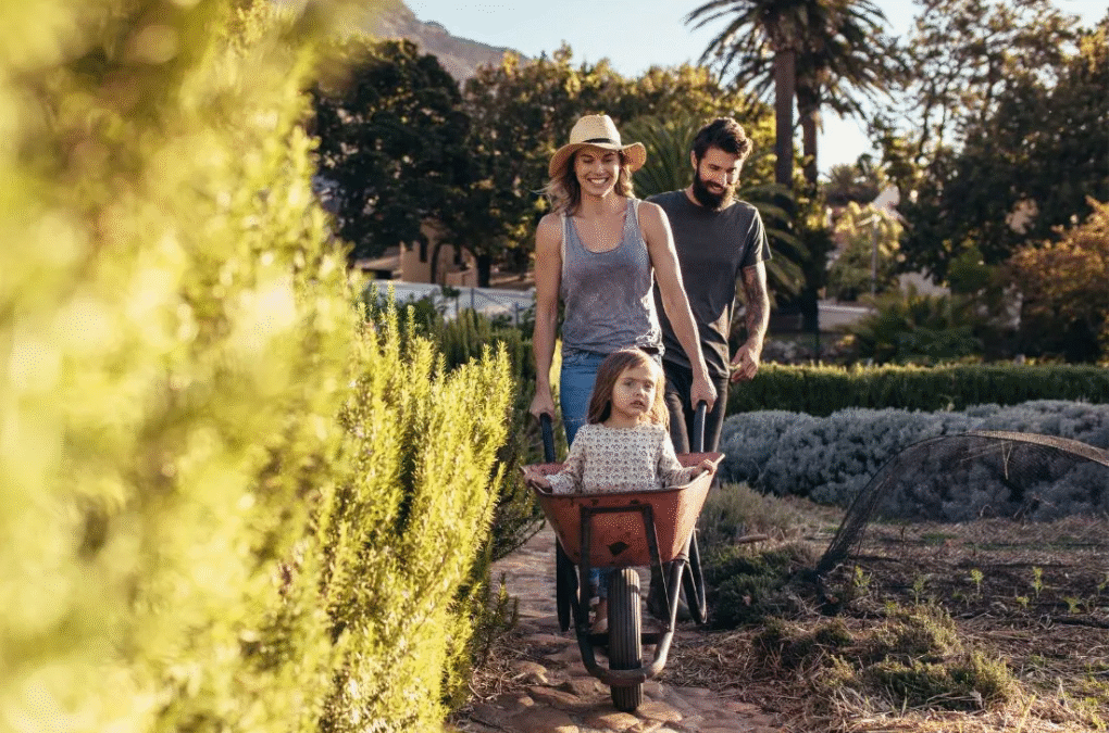 Thinking About a Tree Change? How to Find Affordable Tree Change Homes in Regional Australia