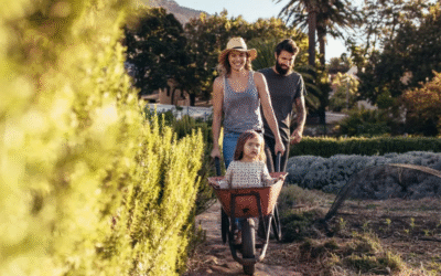 Thinking About a Tree Change? How to Find Affordable Tree Change Homes in Regional Australia