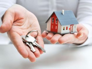Renters to Consider Homeownership | Zippy Financial